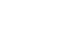 數字政府